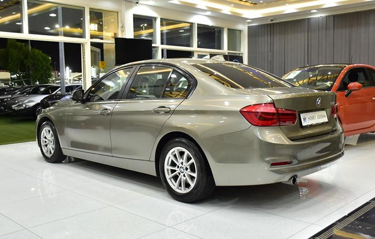 BMW 318i ( 2016 Model ) in Brown Color GCC Specs-3-3