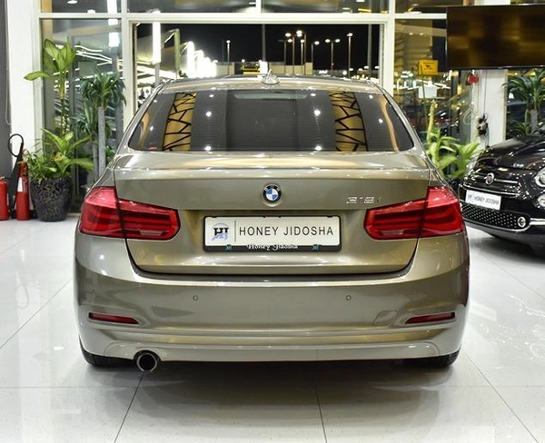 BMW 318i ( 2016 Model ) in Brown Color GCC Specs