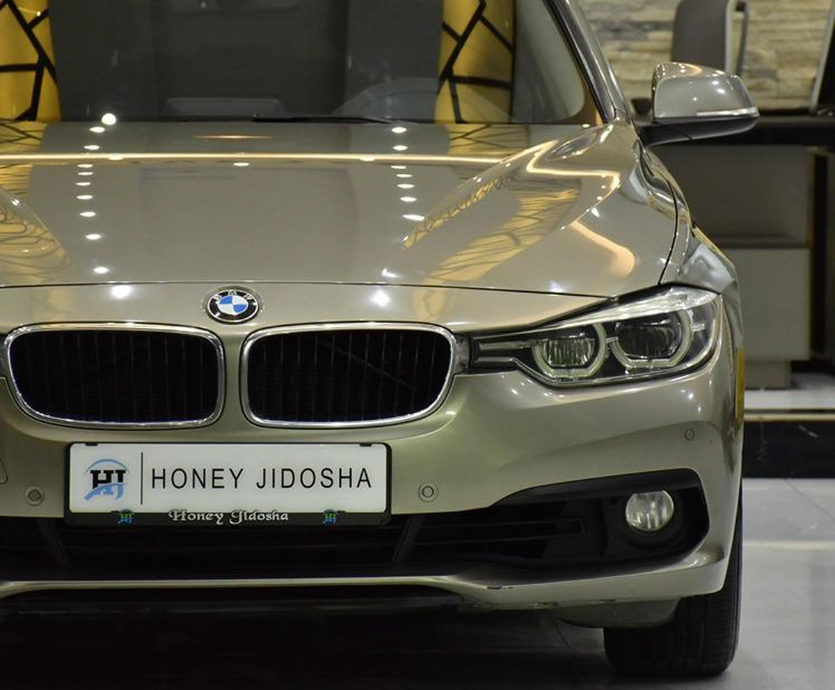 BMW 318i ( 2016 Model ) in Brown Color GCC Specs-5-5