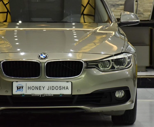 BMW 318i ( 2016 Model ) in Brown Color GCC Specs