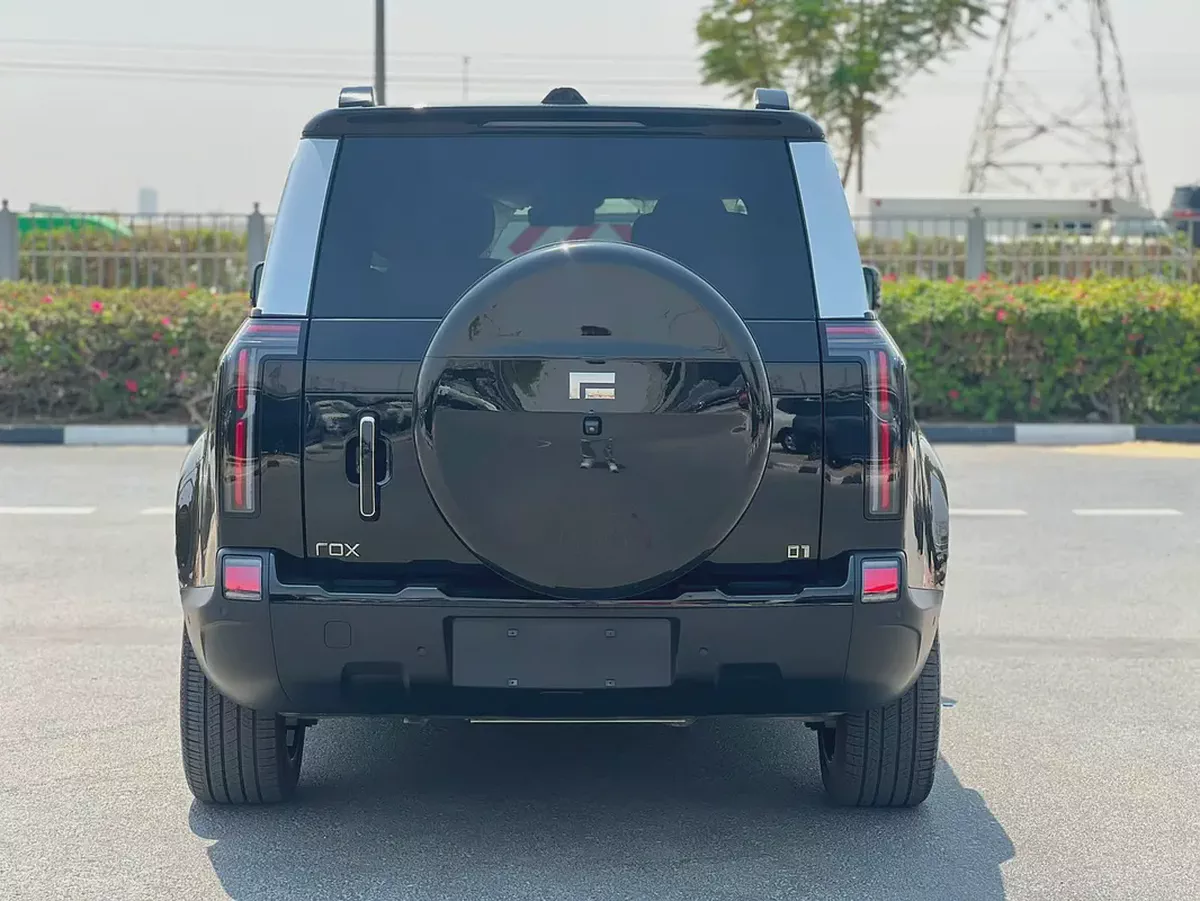 ROX 01 2026 6 SEATS ELECTRIC FOOT STEP FULL OPTION LONG RANGE-5-5