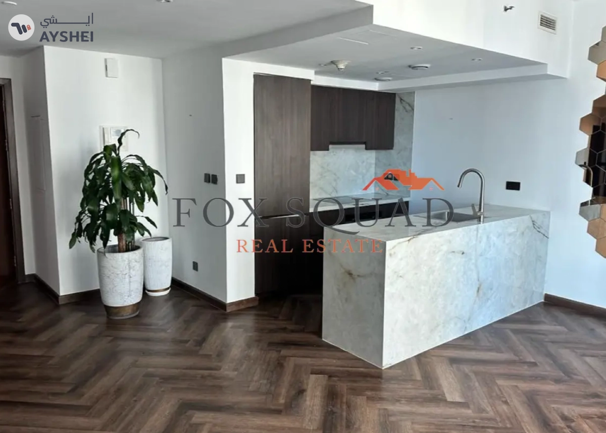 APARTMENT FOR RENT IN SANIBEL TOWER, PARK ISLAND-1-1