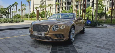 2016 Bentley Continental GT Convertible-Excellent Condition-2