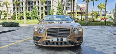 2016 Bentley Continental GT Convertible-Excellent Condition-4