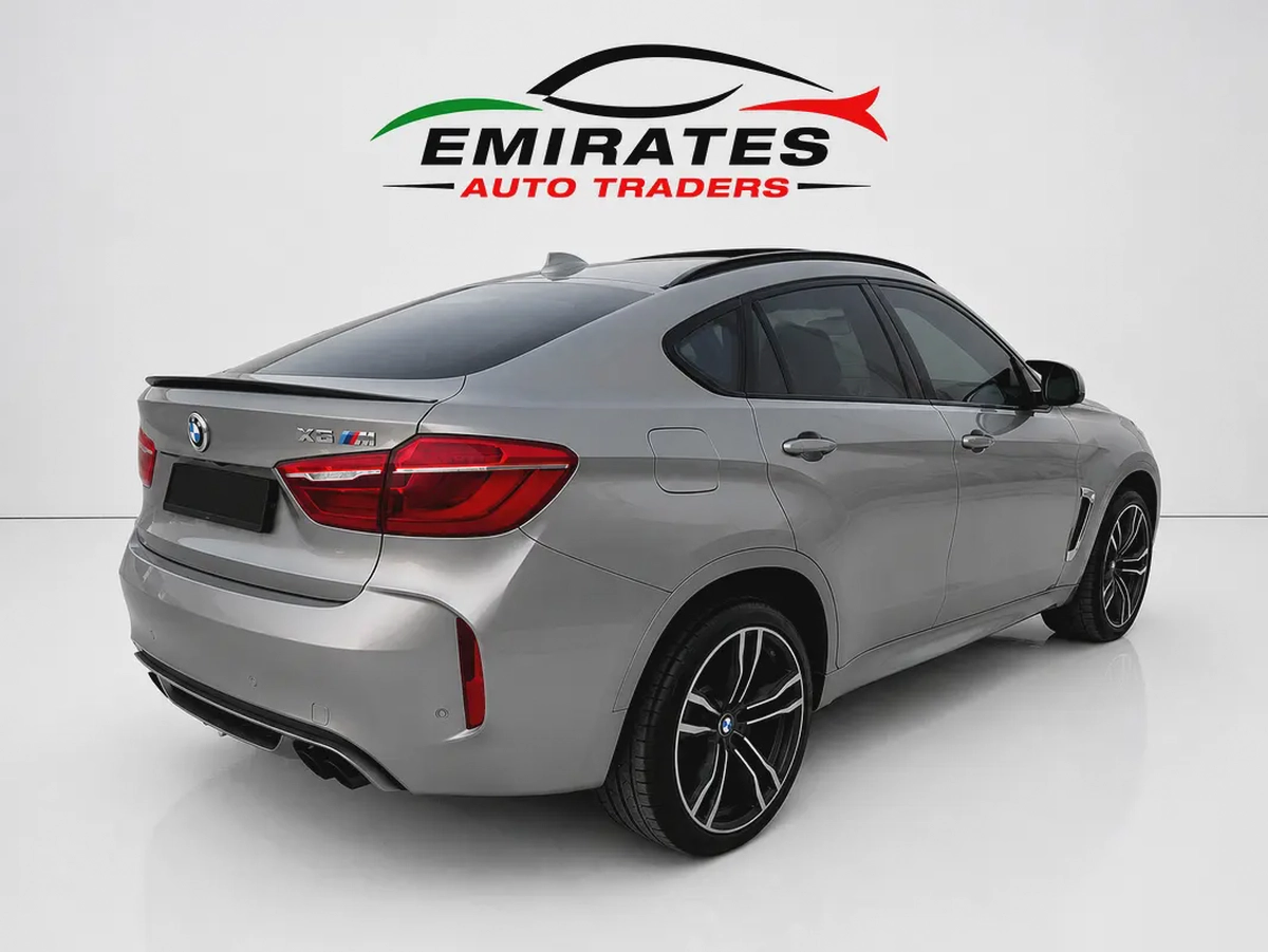2019 BMW X6M-3-3