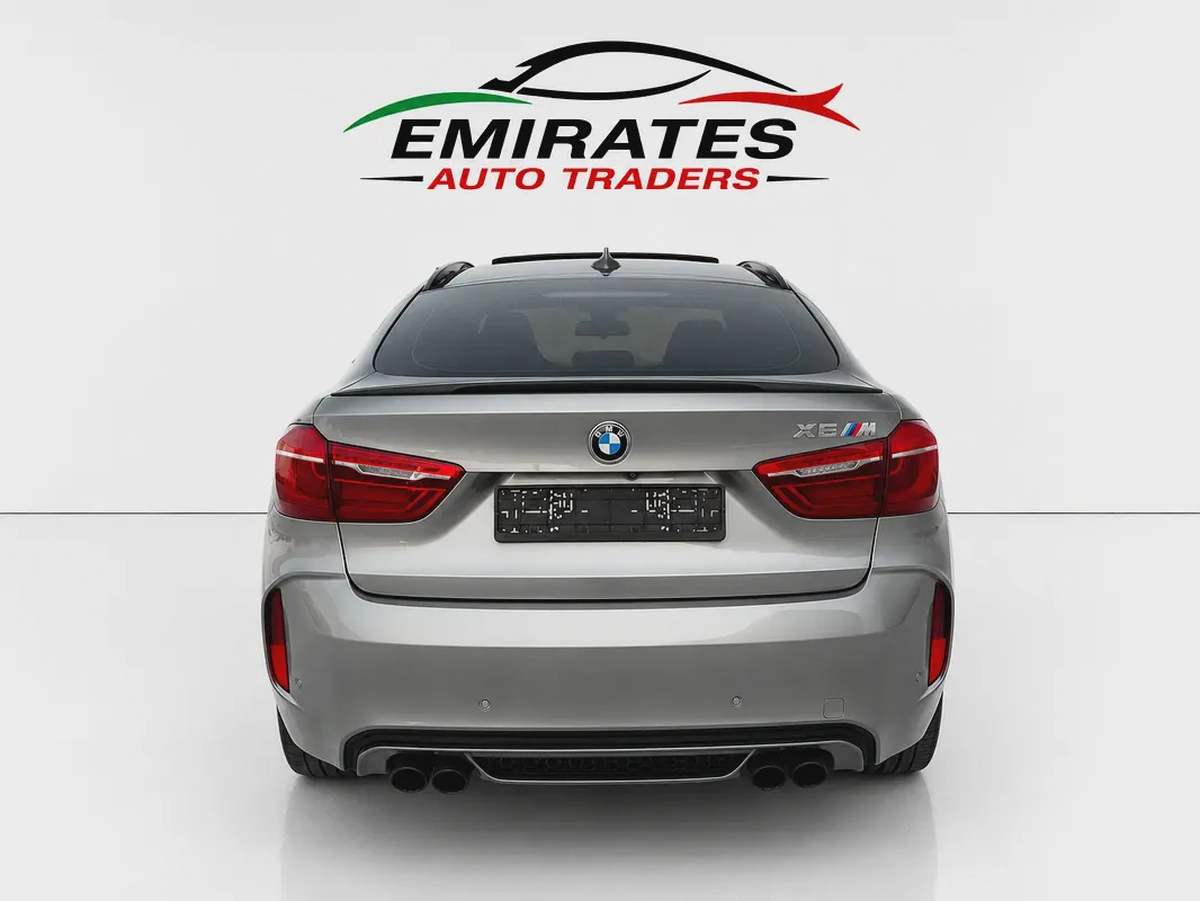 2019 BMW X6M-5-5