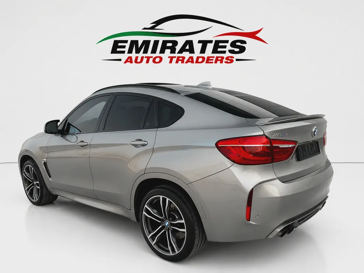 2019 BMW X6M-6-6