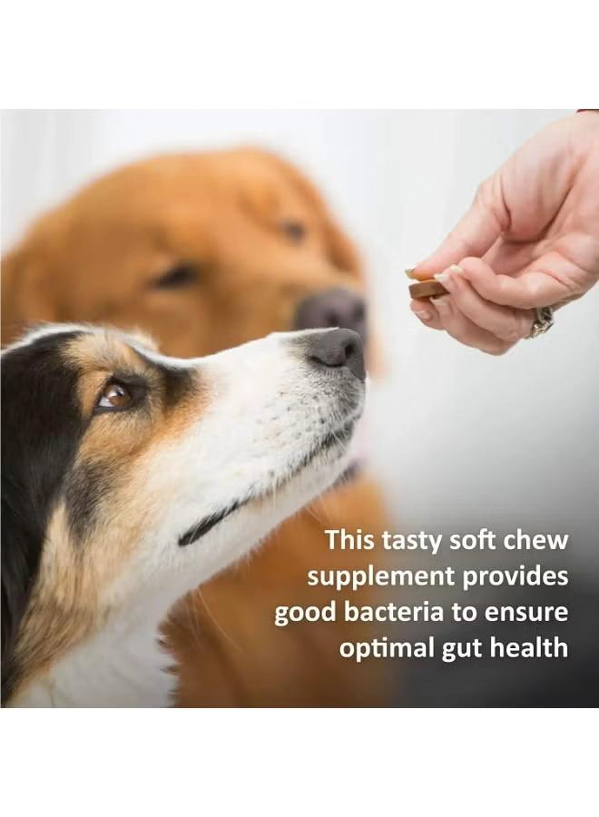 Veterinary Formula Synergy Labs Veterinary Formula Clinical Care Eye Health & Tear Stain 150g (30 counts)-1-1