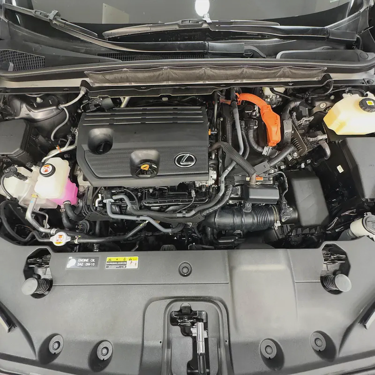 2024 Lexus Rx 350 hybrid Platinum-10-10