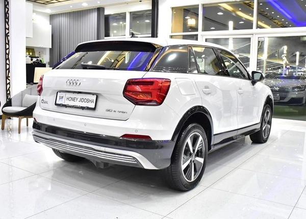 Audi Q2L 30 E-Tron ( 2021 Model ) in White Color Chinese Specs