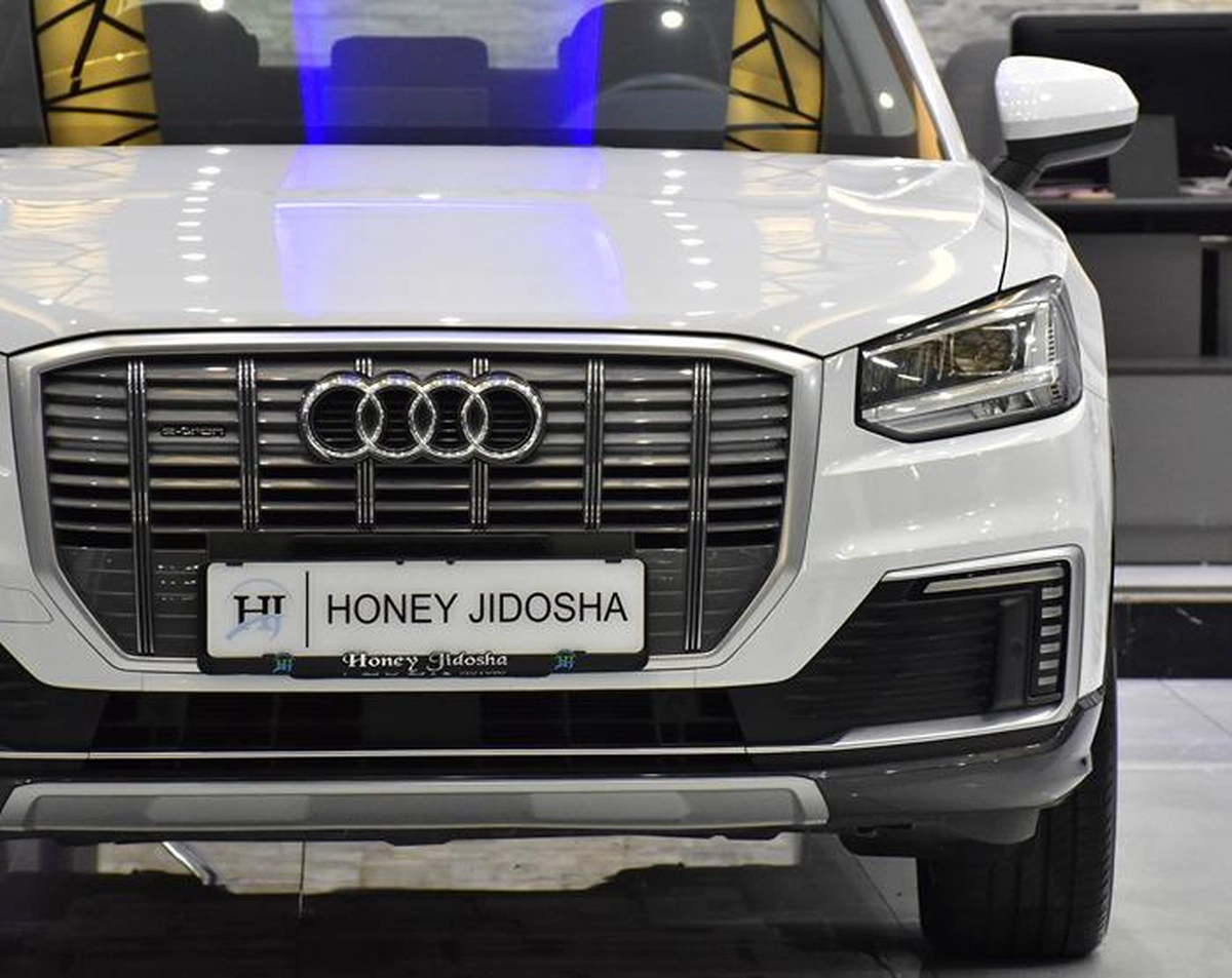 Audi Q2L 30 E-Tron ( 2021 Model ) in White Color Chinese Specs-10-10