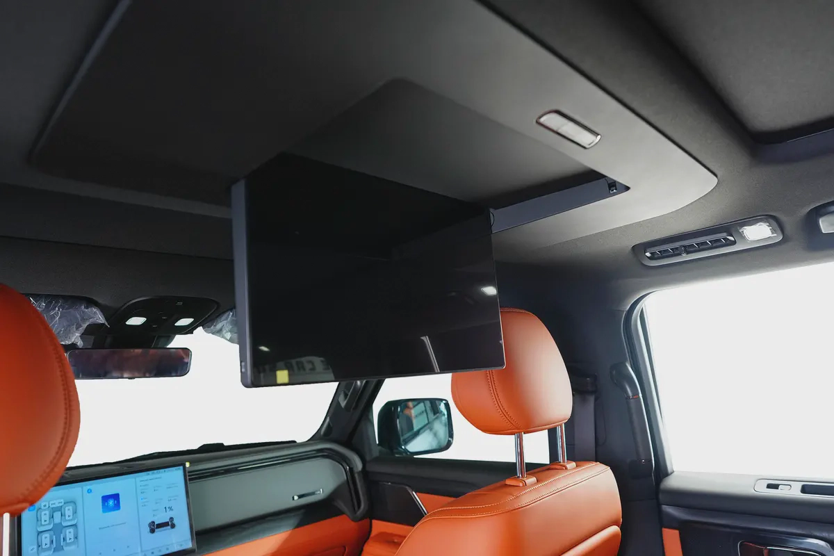 ROX01-VIP-6 Seats-Premium Leather Interior-Luxury-5 Years Warranty  Service Contract-16-16
