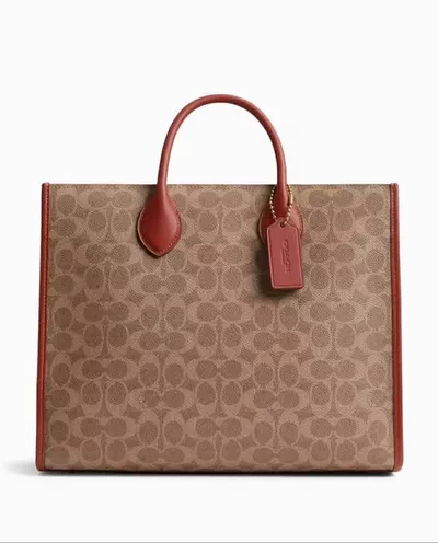 Coach Bag-1