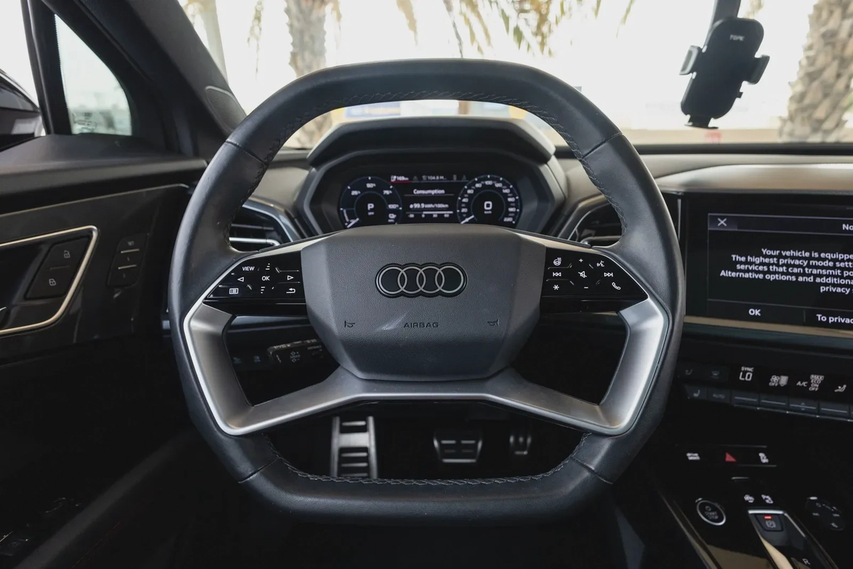 Audi Q5 e-tron-16-16