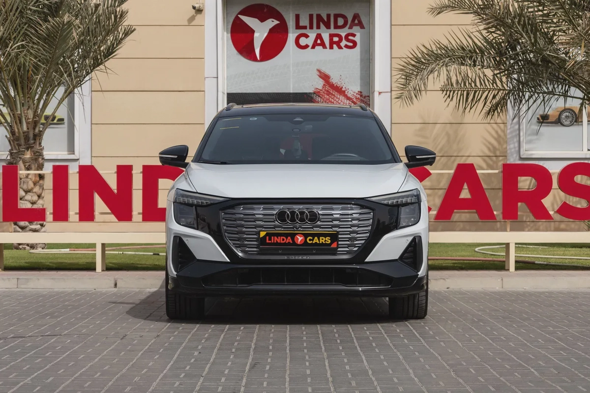 Audi Q5 e-tron-19-19