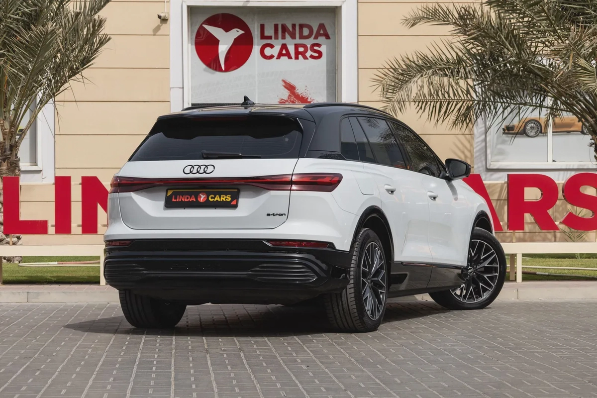 Audi Q5 e-tron-12-12