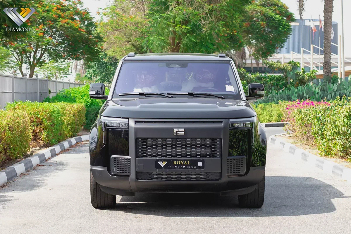 Rox 01 VIP 2026 Chinese Specs - Brand New SUV / EVS Warranty And Service Contact 5 Years 6-Seater-2-2