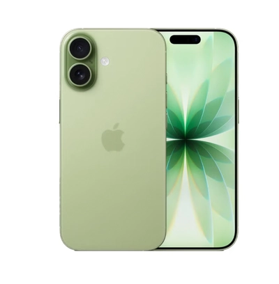 Apple iPhone 17 256GB Sage 5G (eSim only) With FaceTime - International Version-0