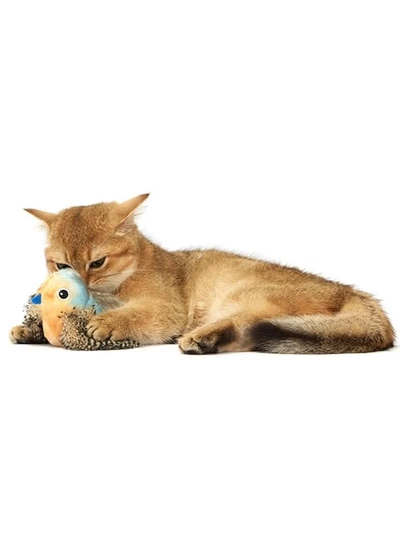  FOFOS Generic FOFOs Sound Chip Blue Bird with Catnip Balls Cat Toy-3