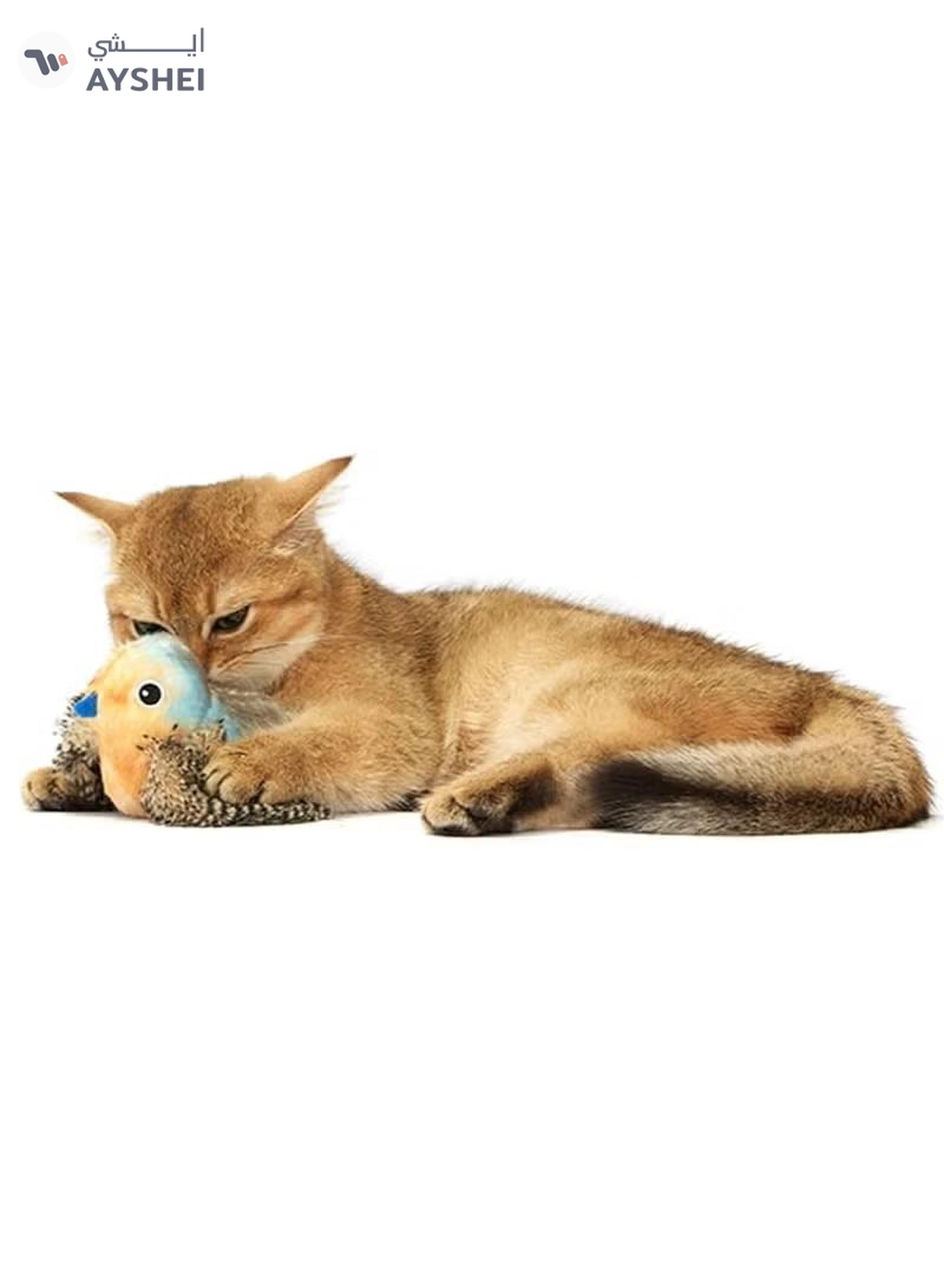  FOFOS Generic FOFOs Sound Chip Blue Bird with Catnip Balls Cat Toy-3-3