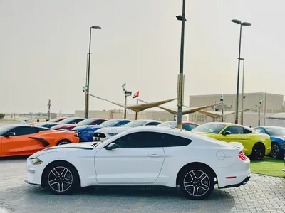 2022 Ford Mustang Ecoboost - # 00283-10