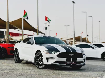 2022 Ford Mustang Ecoboost - # 00283-9