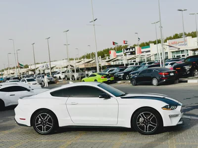 2022 Ford Mustang Ecoboost - # 00283-3
