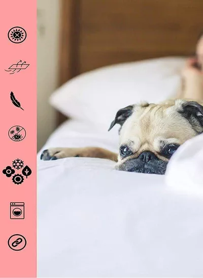 Cottage Style Microfiber Comforter Quilt, Ultra-Soft White Duvet for a Cozy Night's Sleep, Available in King (240x260 cm), Queen (220x240 cm), and Single (160x230 cm) Sizes-5