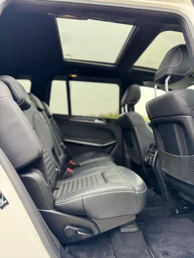 Mercedes Benz GLS550-2019-1