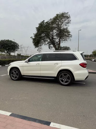 Mercedes Benz GLS550-2019-12