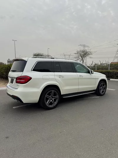 Mercedes Benz GLS550-2019-10