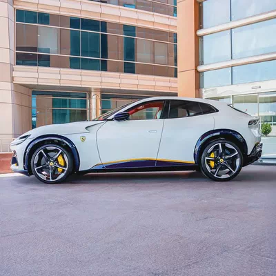 Ferrari Purosangue  2025 - Brand New ( SPECIAL  ORDER )-4