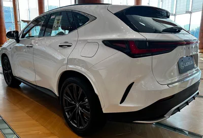 LEXUS NX350 2.4L TURBO PETROL 2026 – FULL OPTION-7