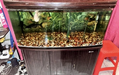 Aquarium 1 meter for sale Aed 550-3
