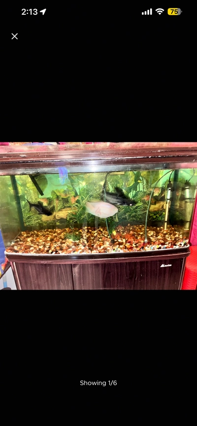 Aquarium 1 meter for sale Aed 550-6