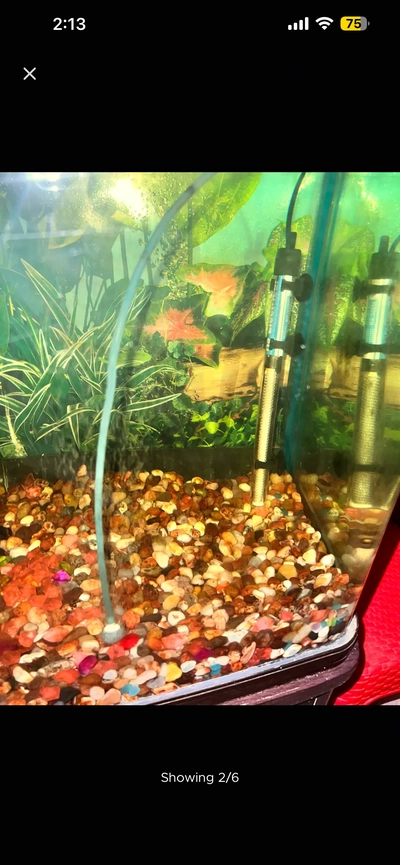 Aquarium 1 meter for sale Aed 550-7
