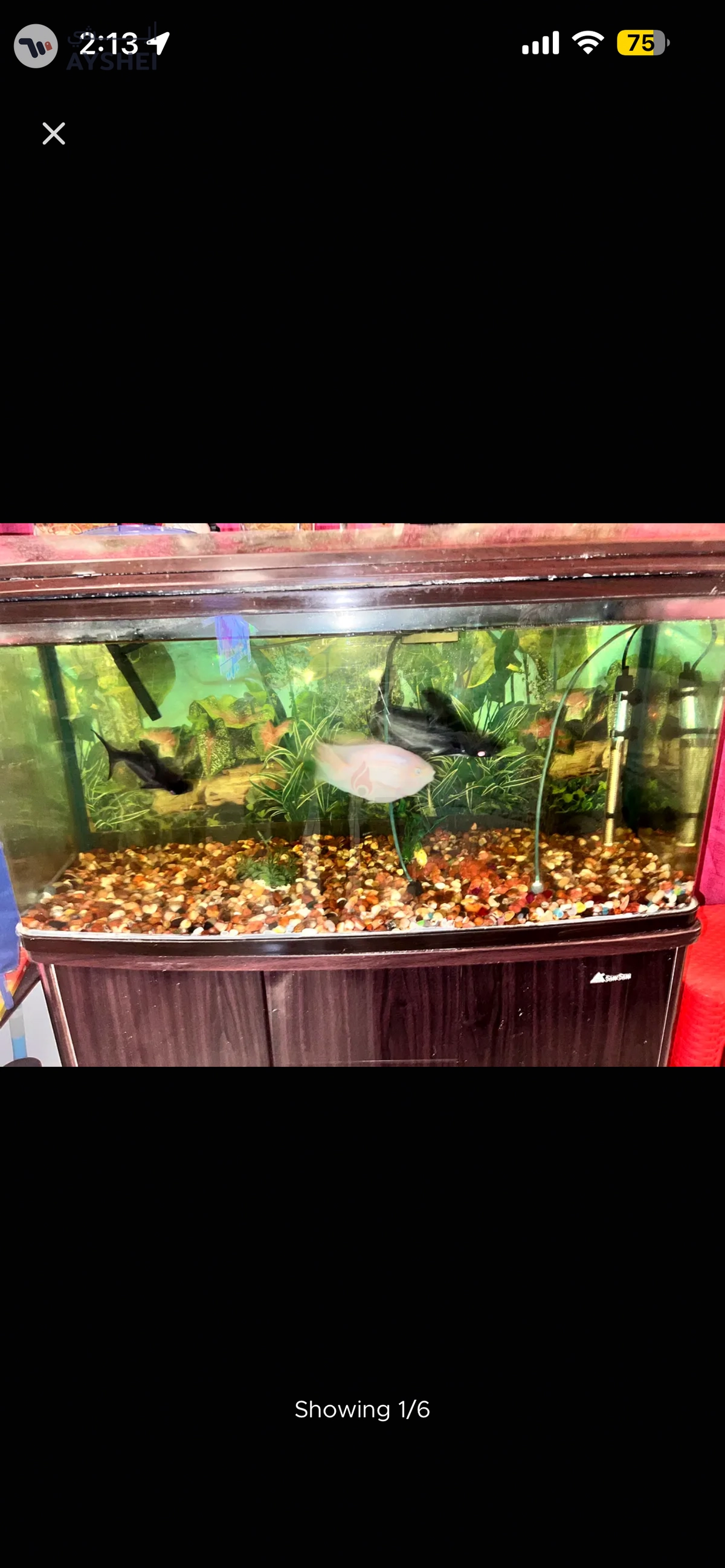 Aquarium 1 meter for sale Aed 550-6-6