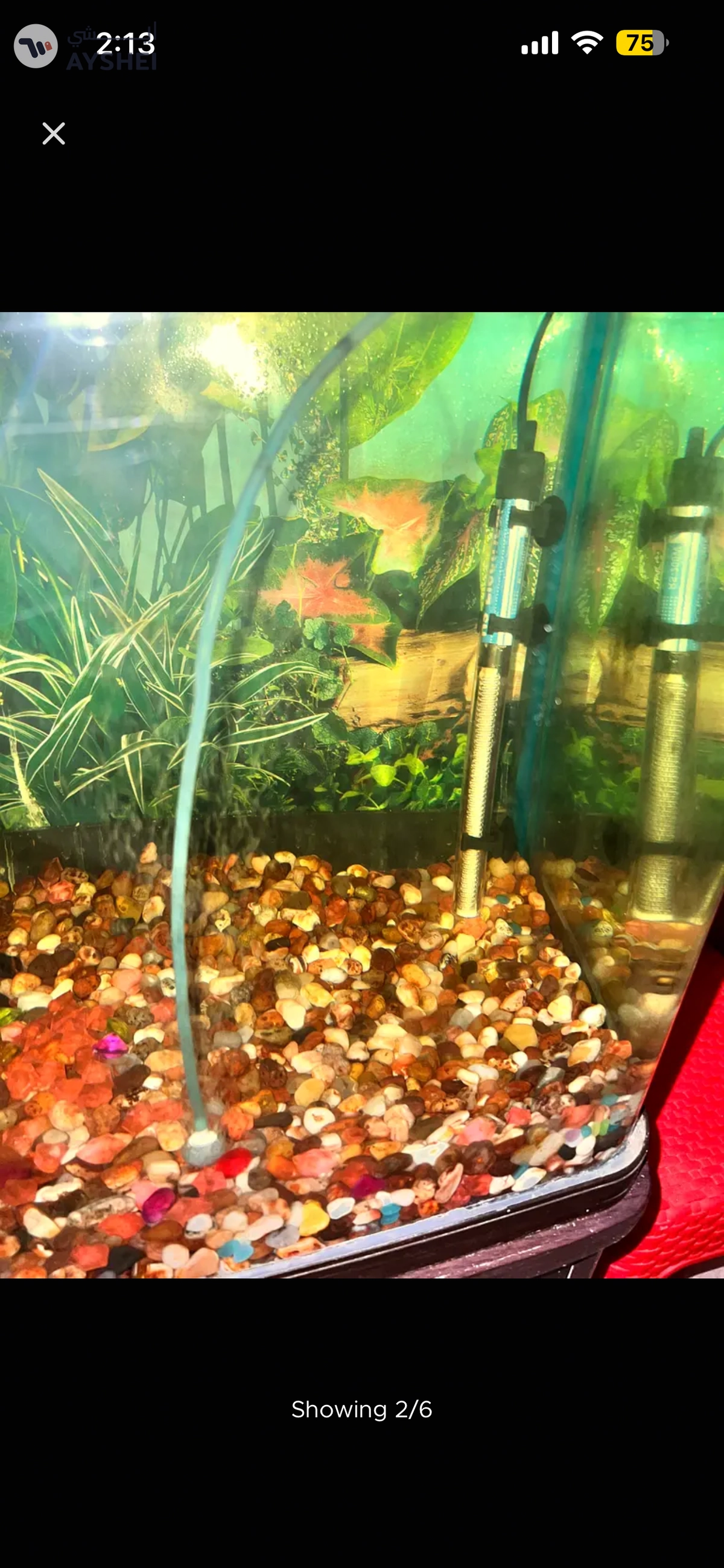 Aquarium 1 meter for sale Aed 550-7-7