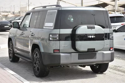 BYD LEOPARD 7 2025 | GREY-19