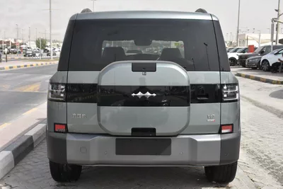 BYD LEOPARD 7 2025 | GREY-5