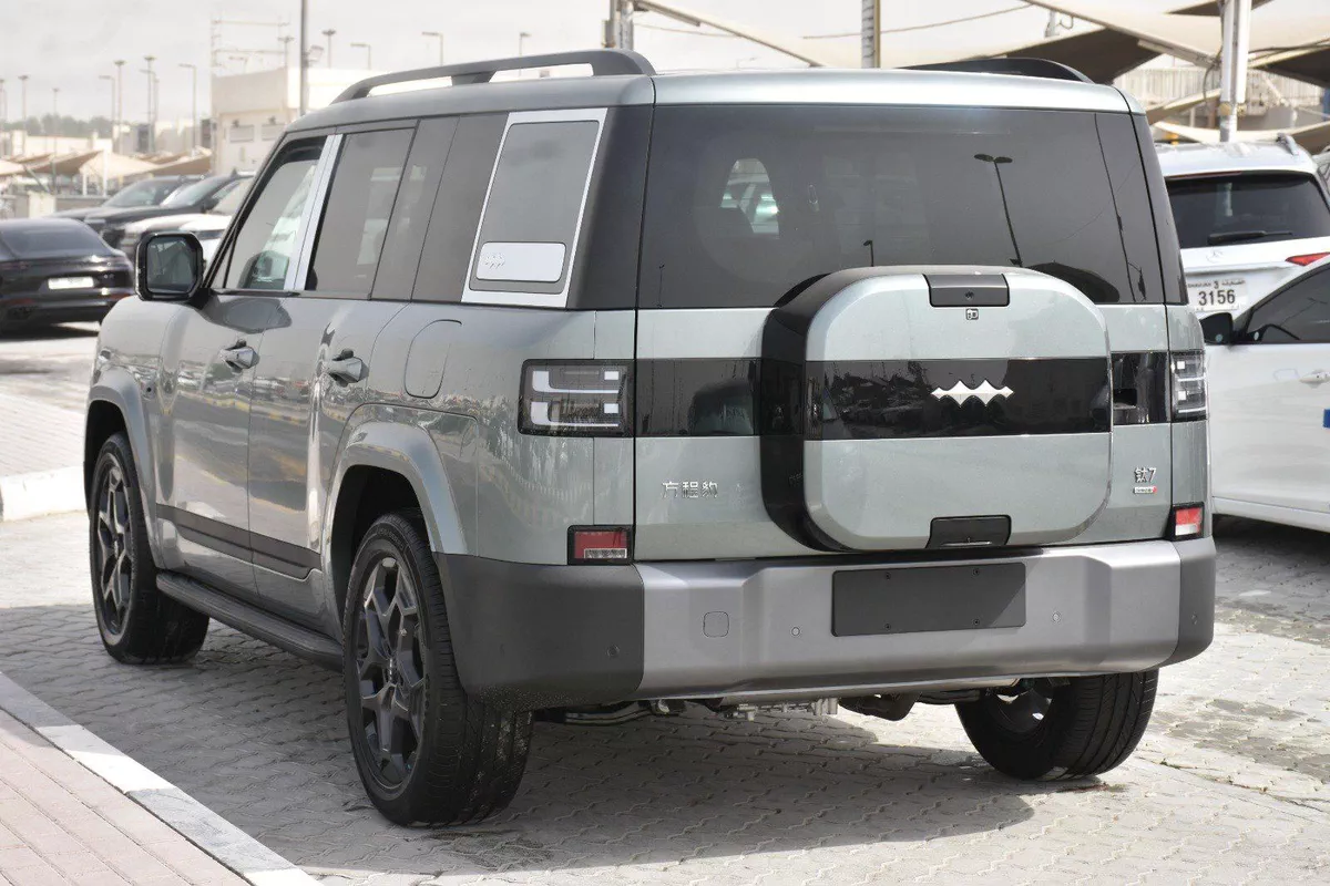 BYD LEOPARD 7 2025 | GREY-19-19