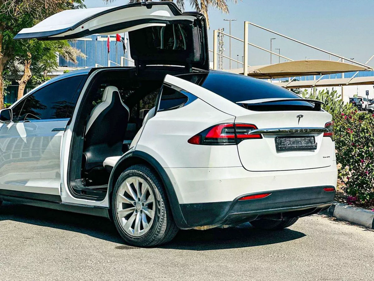 Tesla Model X LONG RANGE (AWD)-6-0