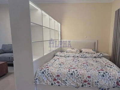 Bright, Spacious, upgraded and newly furnished studio-1