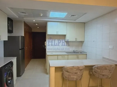 Bright, Spacious, upgraded and newly furnished studio-4