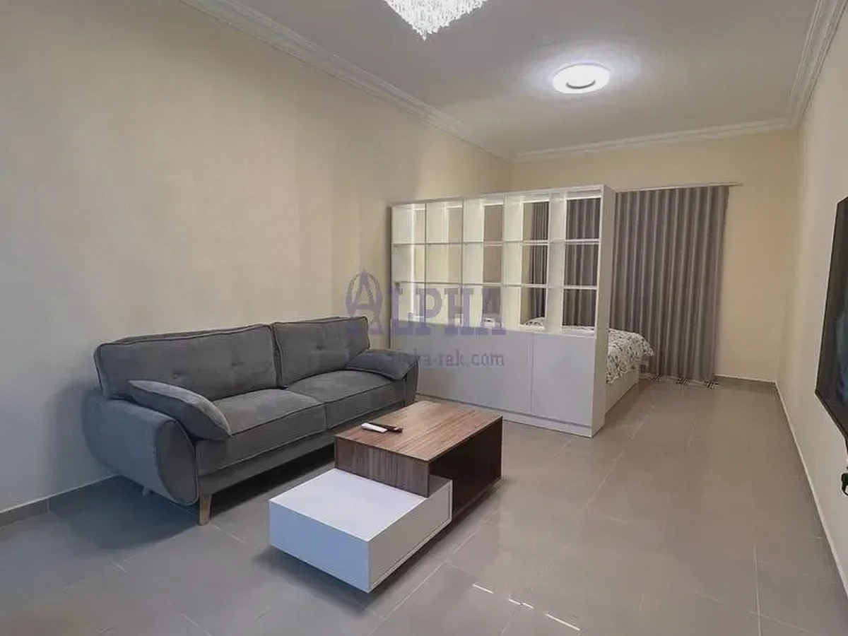 Bright, Spacious, upgraded and newly furnished studio