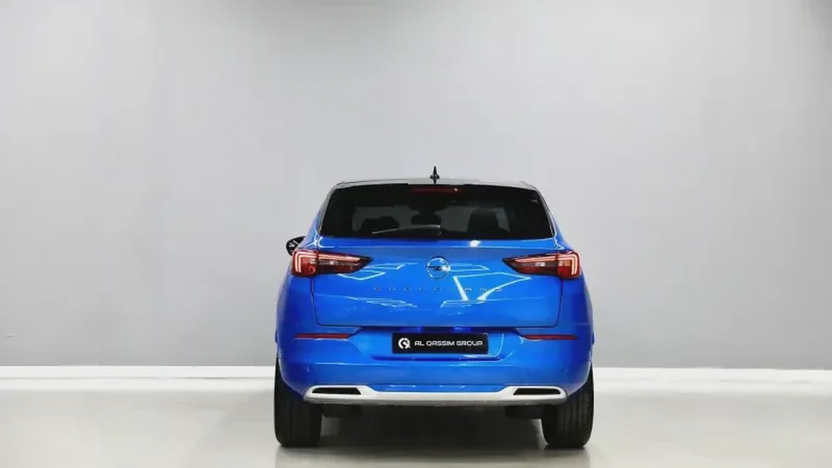 Opel Grandland X-16-16