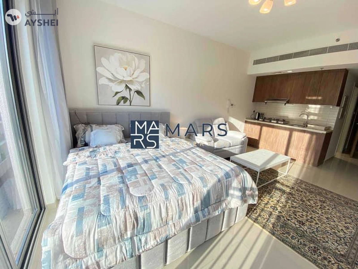 The Lavish Fully Furnished Studio For Rent in Uptown-3-3