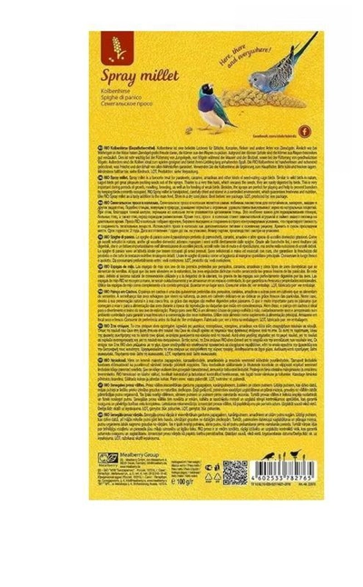 RIO Spray Millet Natural Treat For All Birds 100g x 3-3