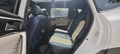 2024 Fengon ix7-2.0T/4WD-Under warranty-Bank Finance Available-10