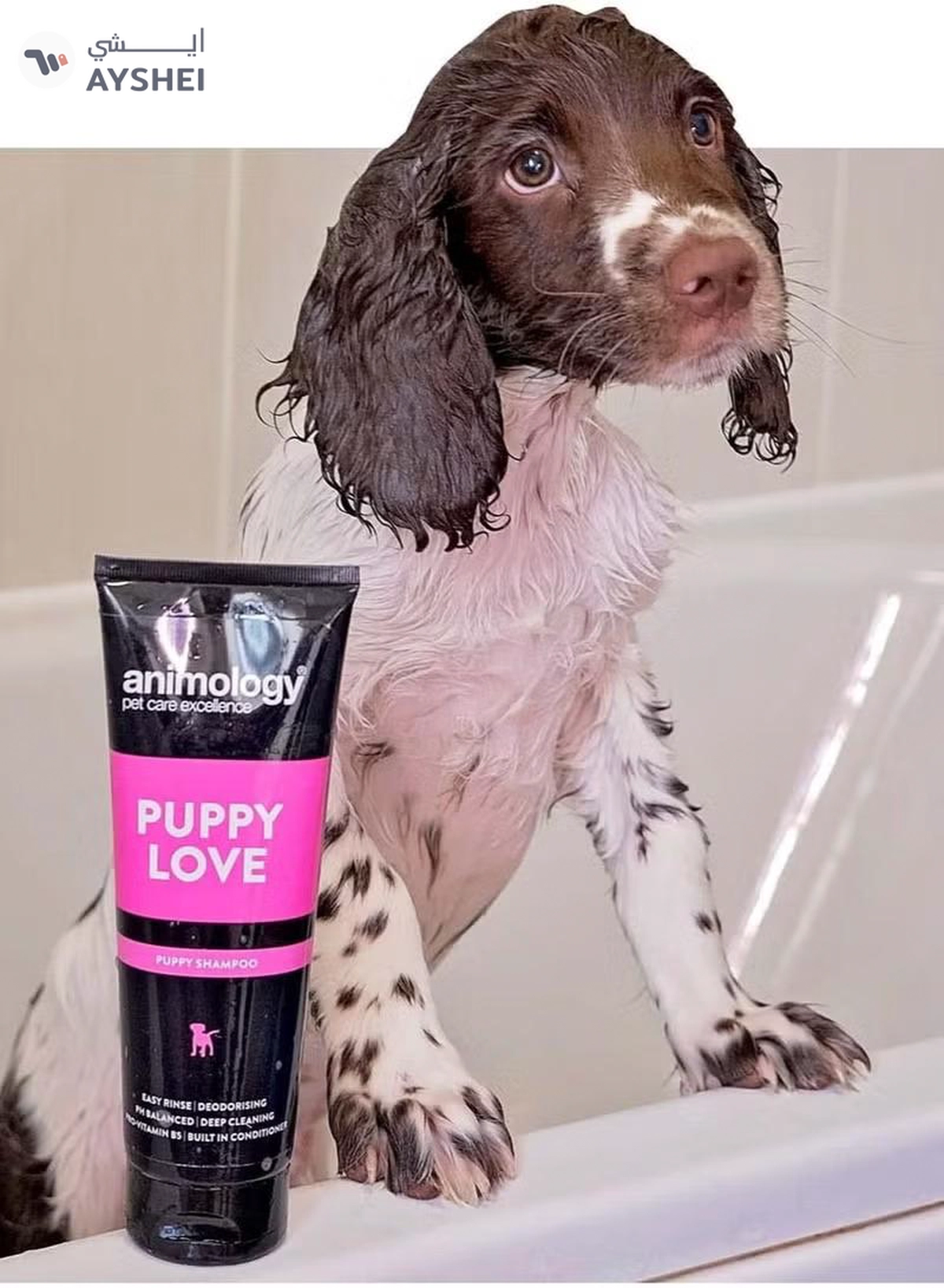 Animology Puppy Love Shampoo 250ml-3-3